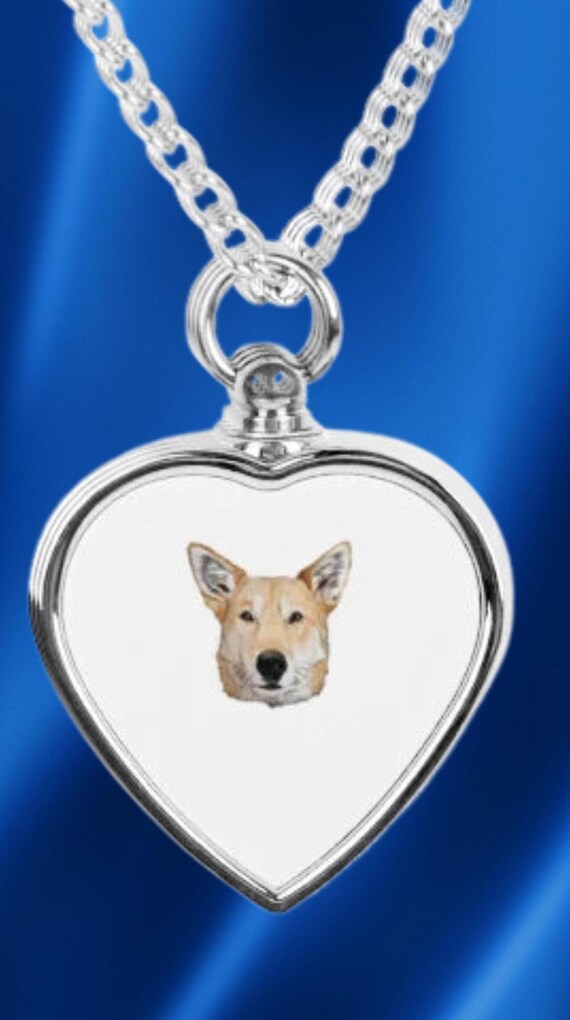 Custom Pet Urn Necklace | Pet Keepsake Ashes Pendant | Personalized Pet Memorial Jewelry | Pet Loss Urn Necklace | Memorial Chain for Pet’s
