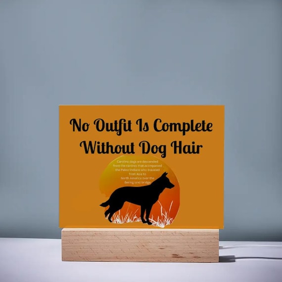 Multi-Size Acrylic Plaque Warm Light Night Light