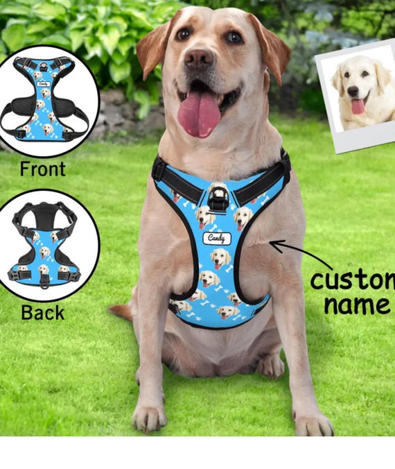 Custom no pull dog harness with your pet’s name and photo! Stylish, comfy, gift for dog lovers and dog owners!  perfect for daily walks.