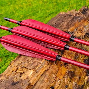 Puede incluir: Tres flechas de carbono con plumas de color rojo brillante y astiles negros. Cada flecha tiene un culatín negro, plumas rojas y negras, y texto blanco impreso en el astil que dice Carbon Arrows SPINE 500. Dispuestas en una fila paralela.