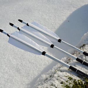 May include: Four arrows with white fletching and black tips are laid on snow. The arrows have silver shafts and black accents. The background features snow and a moss-covered log. The arrows are labelled "Carbon Arrows SPINE 500".