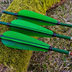 May include: Three arrows with bright green fletching and dark green shafts rest on a moss-covered log. The arrow shafts are a light brown color. The arrows are lying on a bed of grass and leaves.