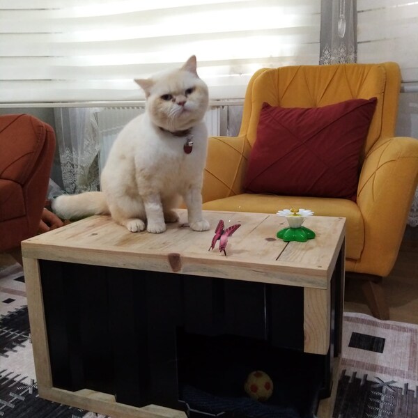 Multifunctional Cat House and Furniture, Handmade Personalized Cat Cave for Cat Lovers, Ped Bed,Stool, Gift for Cat Owner