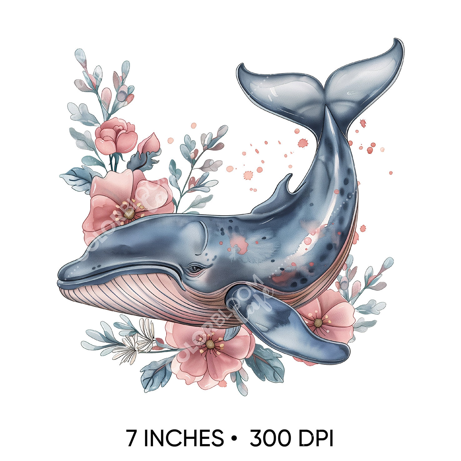 Watercolor Beach Clipart Set, Transparent Background, Whale Clipart ...