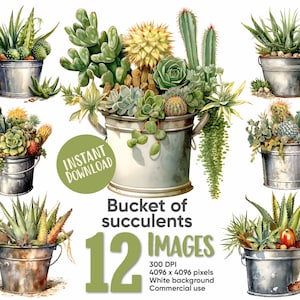 Succulent plants and cactus clipart echeveria illustration aloe vera wall art instant digital download for commercial use