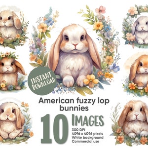 Lop Rabbit Clipart Aquarell Babyhase mit Blumen hochwertiger JPG 300dpi digitaler Download für kommerzielle Lizenz
