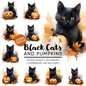 Black Cat and Halloween Pumpkin Clipart Fall Leaves Digital Download Cute Halloween Clipart Instant Download for Commercial Use
