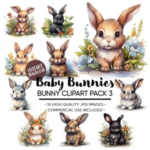 Fluffy Bunny Clipart: Baby Rabbit Floral Images (Commercial Use) (Digital Download)