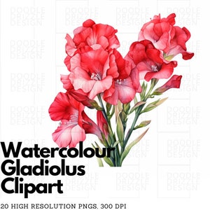 Watercolor Gladiolus Clipart Bundle, 20 PNGs, Summer Flowers, Spring Flowers, Digital Download, Transparent Background, Commercial Use