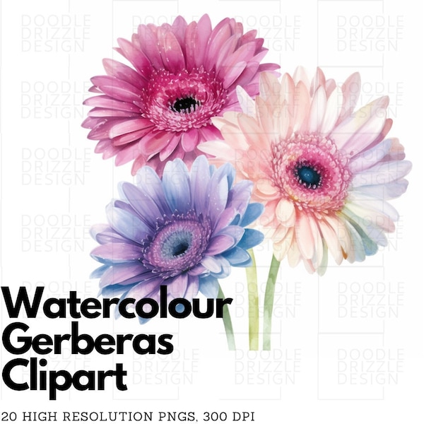 Watercolor Floral Gerberas Clipart, Summer Flowers Spring Floral Bouquets, PNG, Digital Download, Transparent Background, Commercial Use