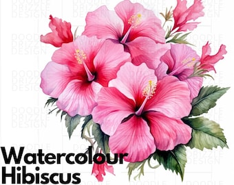 Aquarell Blumen Hibiskus Clipart, Tropische Blumen Hibiskus Blumensträuße, PNG, digitaler Download, transparenter Hintergrund, kommerzielle Nutzung