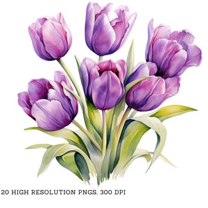 Aquarel paarse tulpen clipart pack - 20 PNGs - mooie zomer- en lentebloemafbeeldingen - direct downloaden, commercieel gebruik