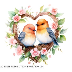 Bundle de cliparts oiseau romantique - doux tourtereaux dans un nid en forme de coeur - 20 images PNG, arrière-plans transparents, téléchargement immédiat