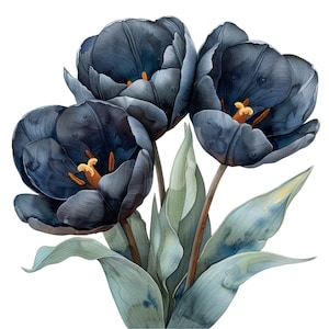 Aquarel zwarte tulpen clipart pack - 20 PNGs - mooie zomer- en lentebloemafbeeldingen - direct downloaden, commercieel gebruik