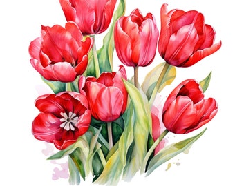 Watercolor Red Tulips Clipart Pack - 20 PNGs - Beautiful Summer & Spring Flower Graphics - Instant Download,Commercial Use