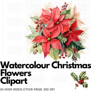 Clipart floral de flores de Natal em aquarela, buquês de flores de inverno, download digital PNG, fundo transparente, uso comercial