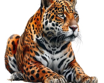 Watercolor Jaguar Clipart Pack - 20 PNGs, Commercial Use, Transparent Background - Aminal Designs and Crafts, Safari Nursery Animals Decor
