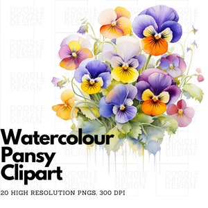 Watercolor Floral Pansy Clipart, Summer Flowers Pansy Bouquets, PNG, Digital Download, Transparent Background, Commercial Use