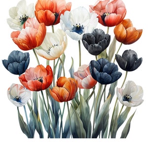 Aquarelle tulipes multicolores Clipart Pack - 20 PNG - beaux graphiques de fleurs d'été et de printemps - téléchargement immédiat, usage Commercial