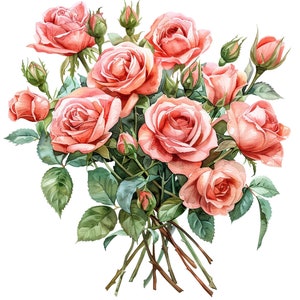 Watercolor Pink Roses Clipart Pack - 20 PNGs, Commercial Use, Transparent Background - Floral Designs and Crafts, Wedding Invites