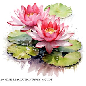 Fleurs de nénuphar gracieuses : superbe ensemble de cliparts fleur aquarelle - fond transparent, usage commercial, téléchargement numérique