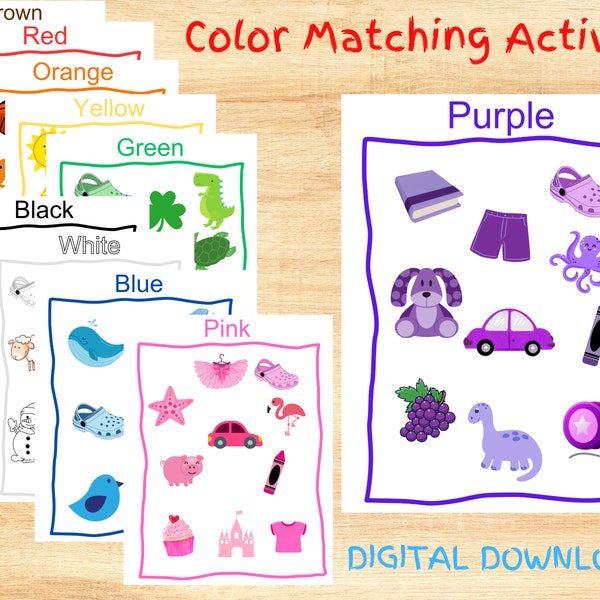 Color Matching Activity | Education Activity for Kids | Learning Colors | Homeschool Printable | Busy Binder Printable | Color Storting