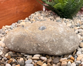 Naturbelassener Quellstein - individueller Gartenbrunnen aus Allgäukies - Größe 22cm - Handgemacht - Einzelstück - Vogeltränke