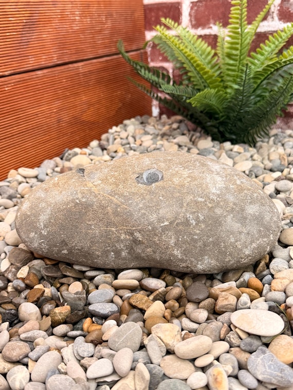 Naturbelassener Quellstein - individueller Gartenbrunnen aus Allgäukies - Größe 22cm - Handgemacht - Einzelstück - Vogeltränke