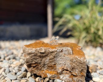 Beautiful shell limestone fountain stone - subtle water feature - size 19 cm - unique piece - bird bath - insect bath