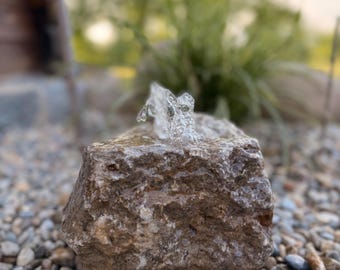 Schöner Muschelkalk Quellstein - dezentes Wasserspiel - Größe 19cm - Einzelstück - Vogeltränke - Insektentränke