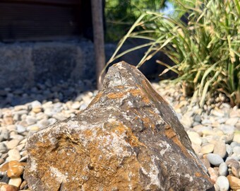 Beautiful shell limestone fountain stone - subtle water feature - size 19 cm - unique piece - bird bath - insect bath