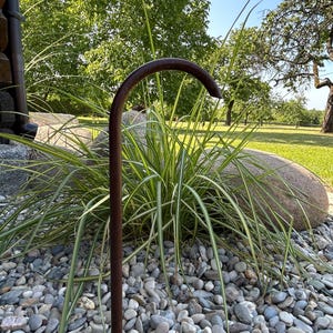 Könnte beinhalten: Ein gebogener, dunkelbrauner Metall-Gartenpfahl mit einem Haken an der Spitze, eingebettet in ein Bett aus grauen Kieselsteinen und Ziergras. Der Pfahl ist ein dekoratives Element in einem Garten im Freien, mit einem natürlichen Hintergrund aus Grün und blauem Himmel.