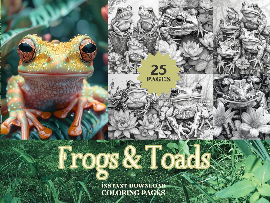 Frogs and Toads Coloring Pages Instant Download PDF Pages Coloring Book