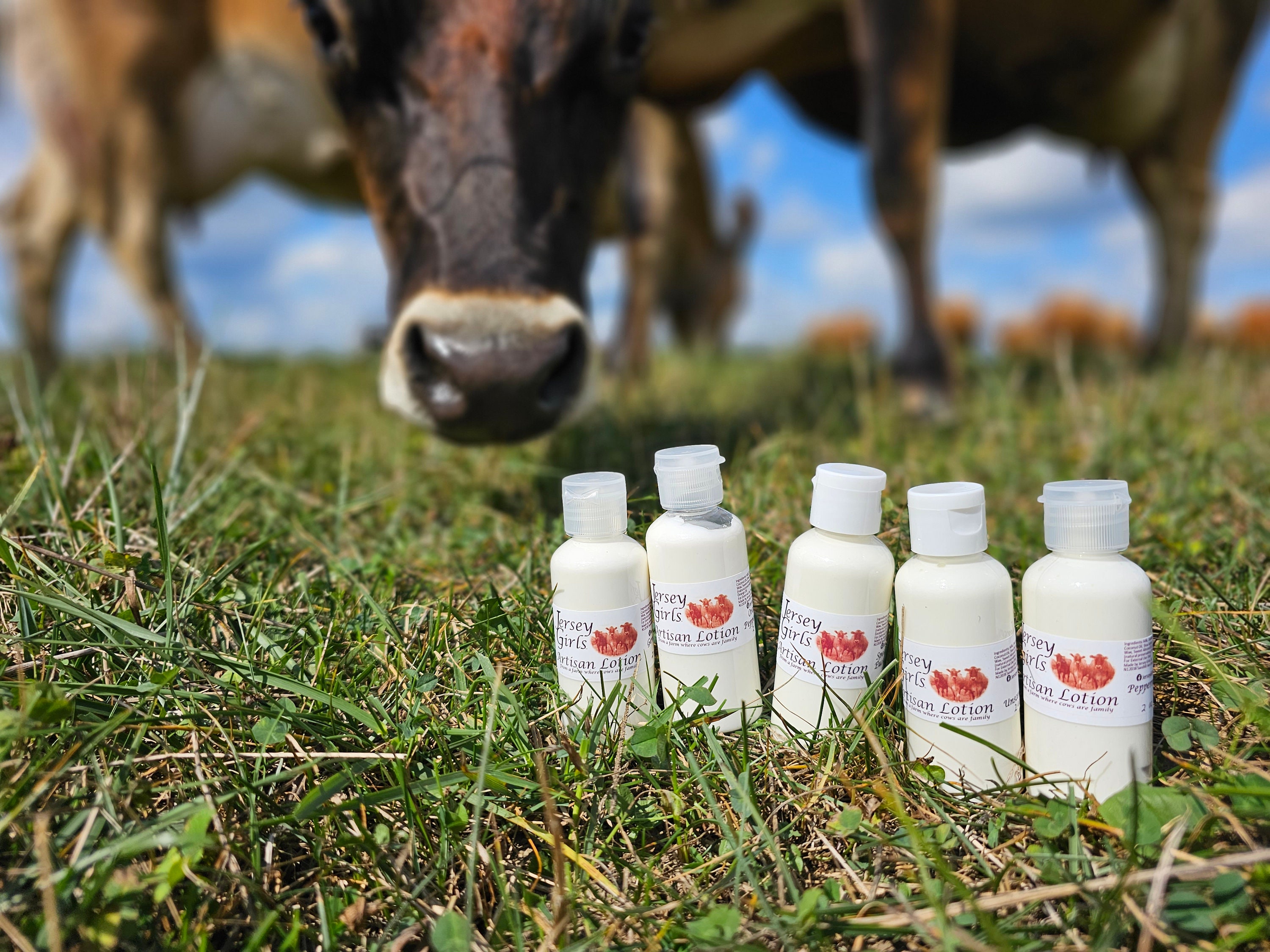 Artisan Cow Milk Lotion in a 8oz Pump Bottle or 4oz or 2oz Bottle