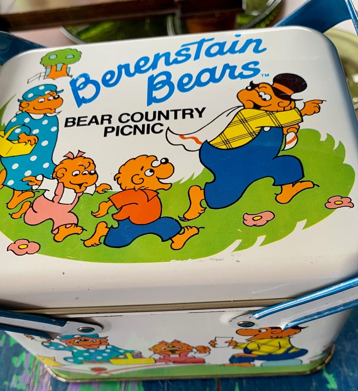 Berenstain Bear Country Picnic 1987 Vintage Metal Box With Etsy