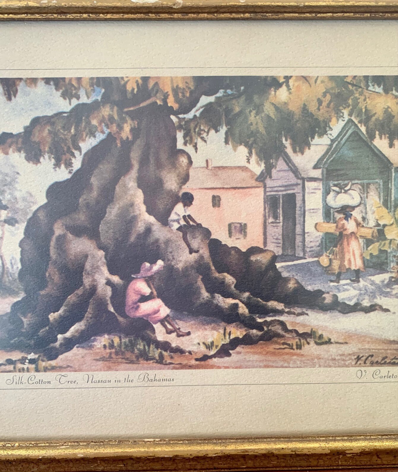 Silk Cotton Tree Watercolor Print by Virginia Carleton Etsy