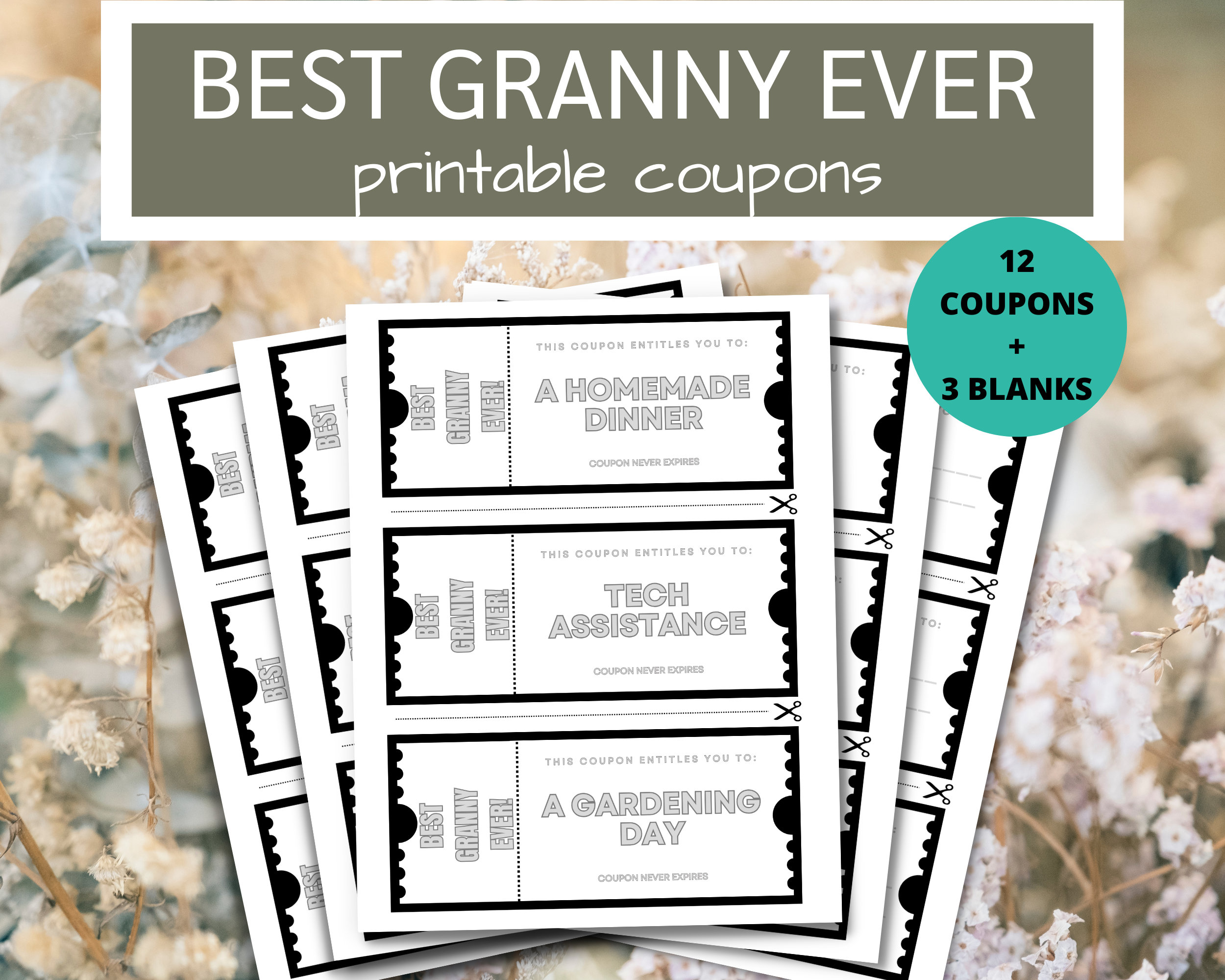 Granny Coupon Book: 12 Pre-filled Coupons + 3 Blanks (digital Download) -  Etsy, image size:2500x2000