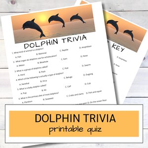 Dolphin Trivia Printable | Dolphin Quiz | Ocean Learning Game | Educational Classroom Activity | Ocean Theme Birthday Party
