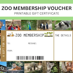 Zoo Geschenkgutschein | Zoo Geschenk Ticket Vorlage | Jährlicher Zoo Pass Erlebnis Geschenkgutschein | Überraschungs-Zoo Golden Ticket zum Ausdrucken