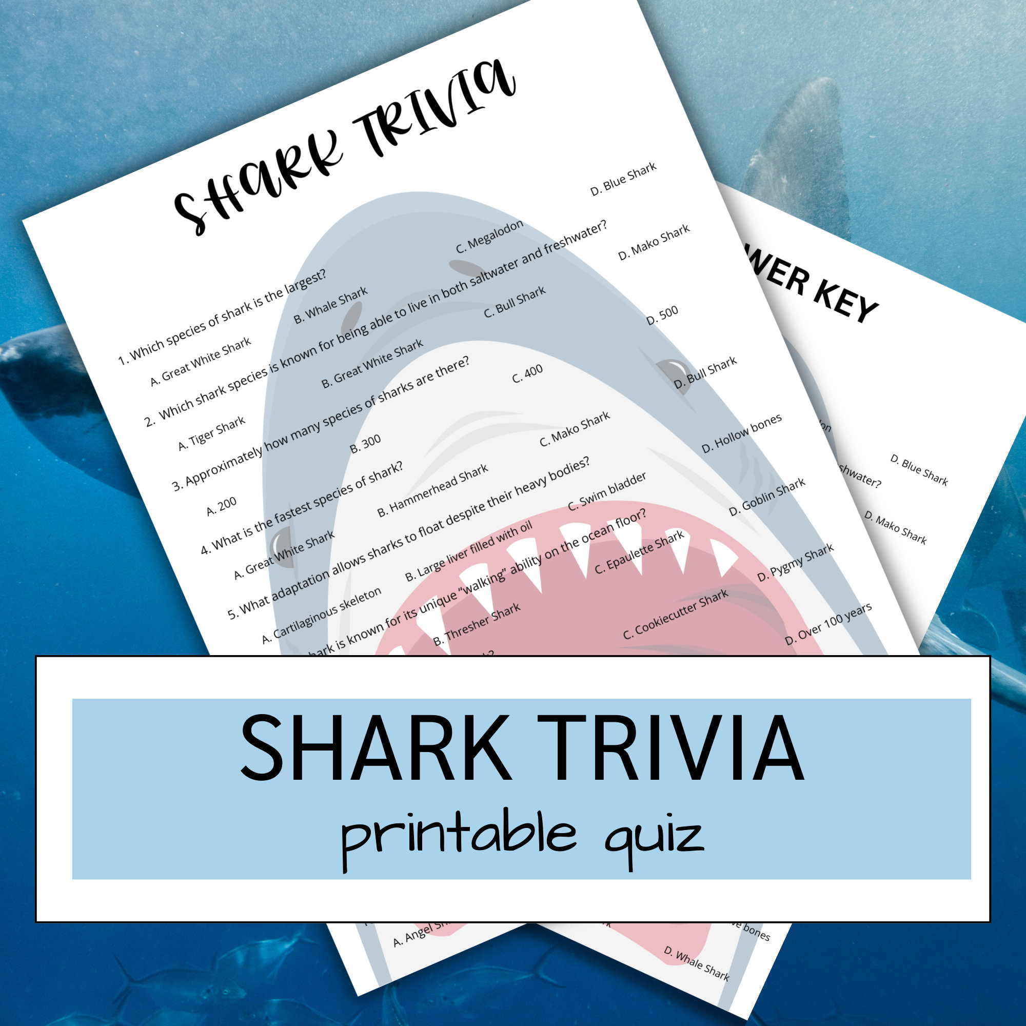 Shark Trivia Printable Quiz | Shark Week Trivia Game | Shark Classroom ...