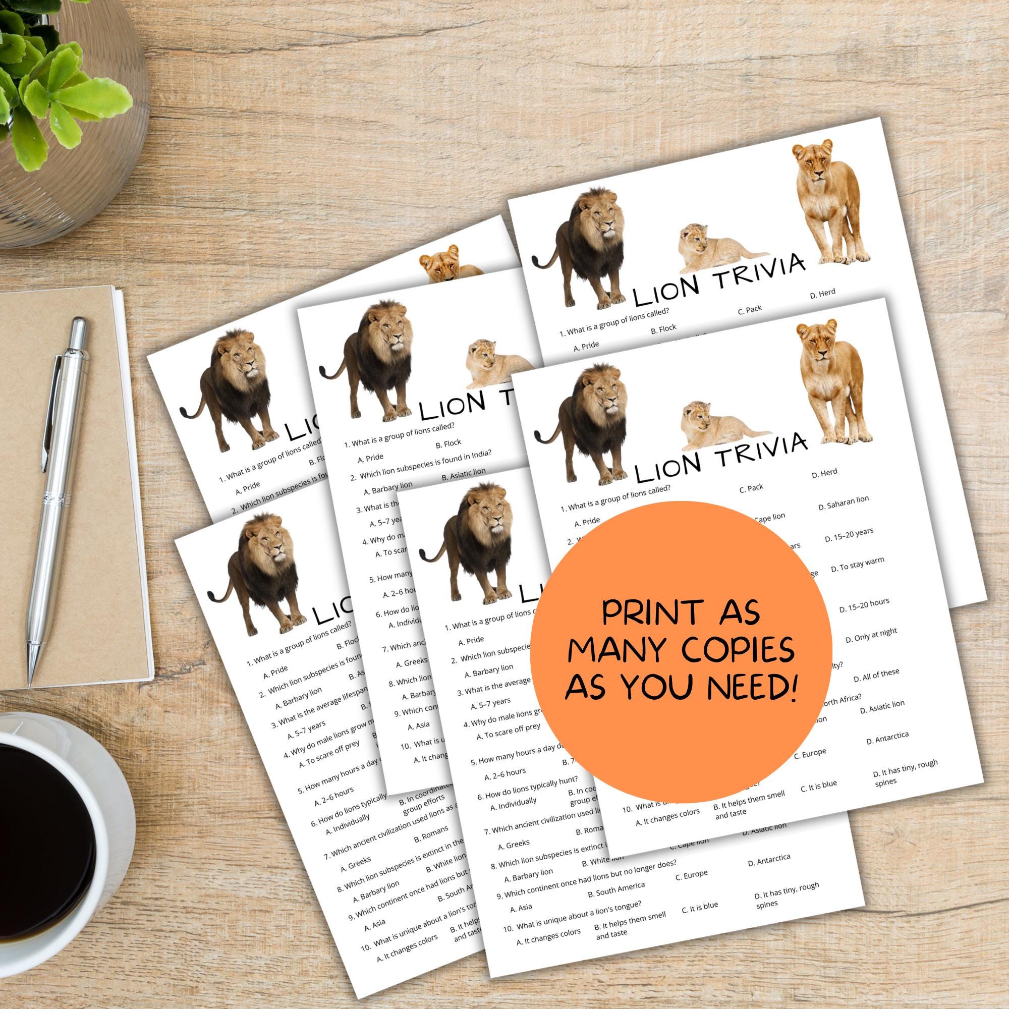 Lion Printable Quiz | Lion Trivia Game | Animal Classroom Activity ...