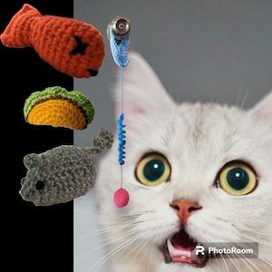 Fish taco cat toy top