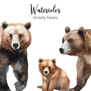 水彩のハイイログマのクリップアート、赤ちゃんクマのクリップアート、ヒグマのクリップアート、森の動物の png ファイル、商用利用可能なグラフィック、png 画像
