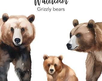 Imágenes prediseñadas de oso pardo de acuarela, imágenes prediseñadas de oso bebé, imágenes prediseñadas de oso pardo, archivos png de animales del bosque, gráficos de uso comercial, imágenes png