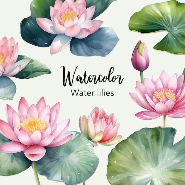 Watercolor water lily clipart, floral png illustration set, water lilies, printable watercolour art, water lily illustration, aquarelle