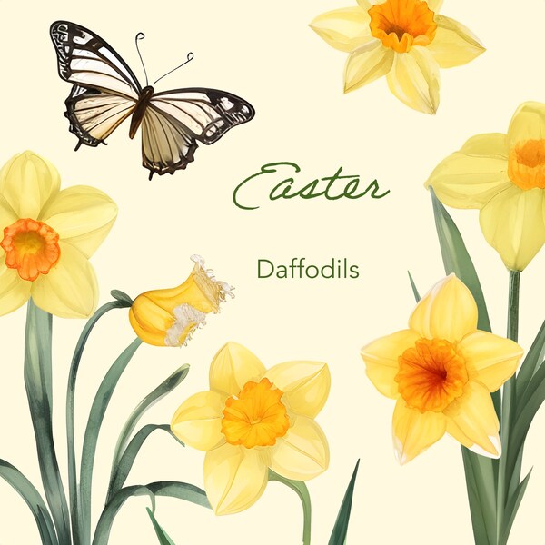 Daffodil clipart, yellow flower illustrations, floral png, commercial use, clip art bundle, easter florals, digital watercolour