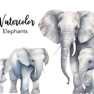 Clipart de elefante em aquarela, arquivos png de elefantes bebês, imagens zafari, gráficos de animais para impressão, sublimação de elefante, ilustrativo de elefante