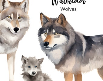 Watercolor wolf clipart, wolf pup png file, wolf pack clipart, north american wildlife illustration, printable, commercial use, scrapbooking