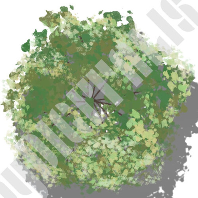 Deciduous Trees With Shadows, Plan View, Landscape Design Illustration ...