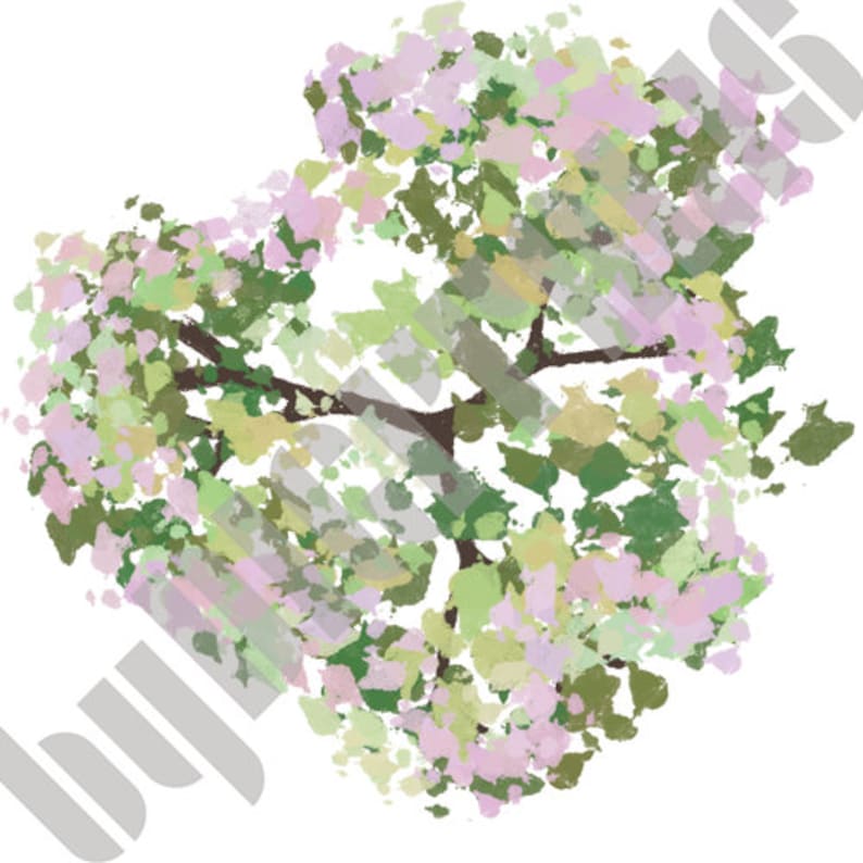 Deciduous Trees, Plan View, Landscape Design Illustration - Etsy